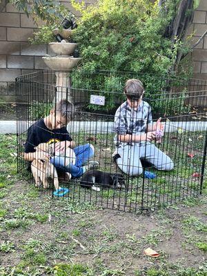 My kids showing these fur babies unconditional love knowing they are going to change these pups life forever