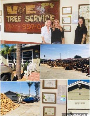 V & E Tree Service in Orange CA.