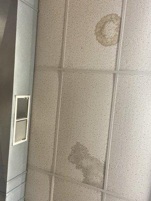 Mold in ceiling