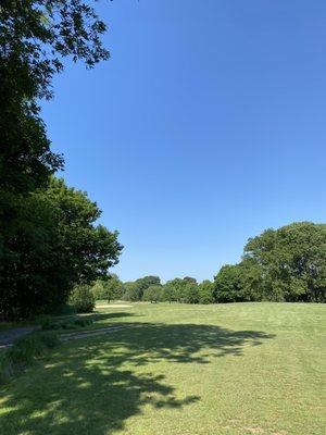 One of the more decent tee box shots