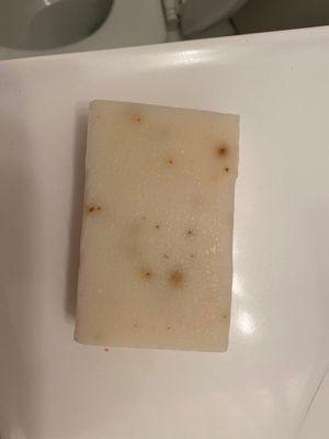 Tea Tree Soap