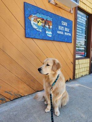 All grown up and still happy with Bird Rock Animal Hospital.