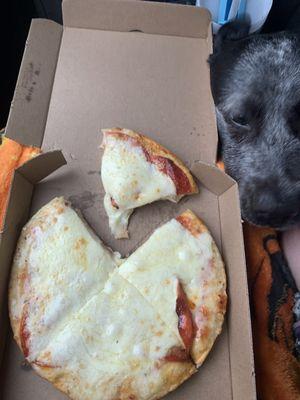 pizza dog