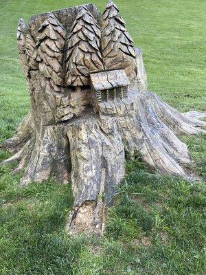 Tree stump chair to sit and take photos