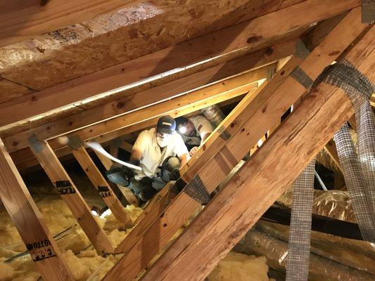 Attic spaces are a common place to find us working.