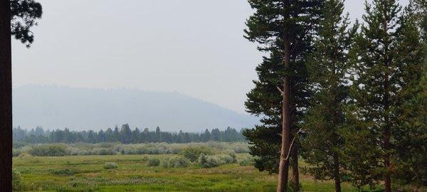 Views from the bike trail