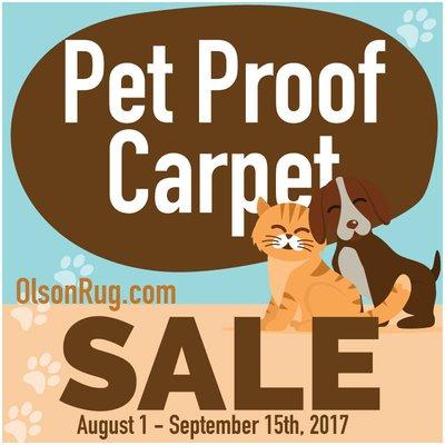 Pet Proof Carpet Sale