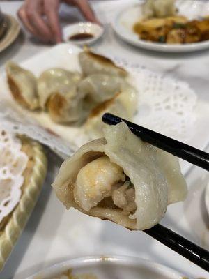 D02.Pork Shrimp Dumpling