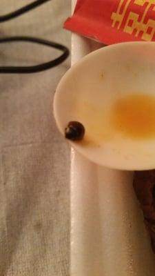 Lady bug found in the soup noodle.