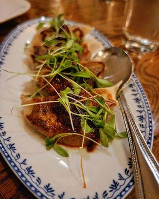 Short rib dumplings