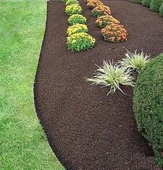 Nicely mulched bed