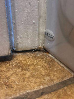 Gaps under the bathtub that cause water leaks