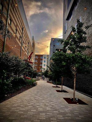 A view looking down the ArtsWalk