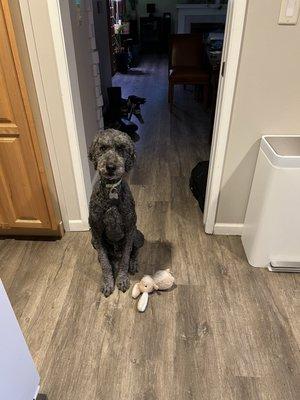 Sammy and his bunny (purchased at All the Best Pet Care).  He LOVES his bunny.