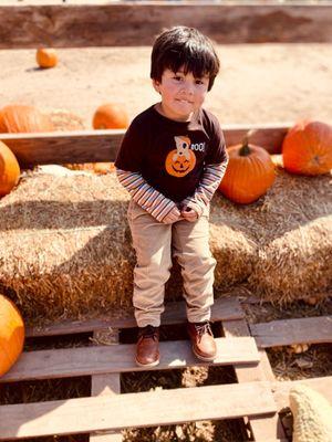 Pumpkin patch