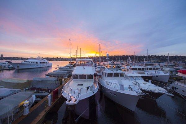 Come in the morning, and you might be able to see this breath taking Sunrise on Lake Union from our chair!