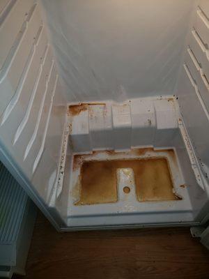 Refrigerator before steam cleaning process.