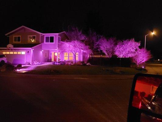 color changing landscape lighting