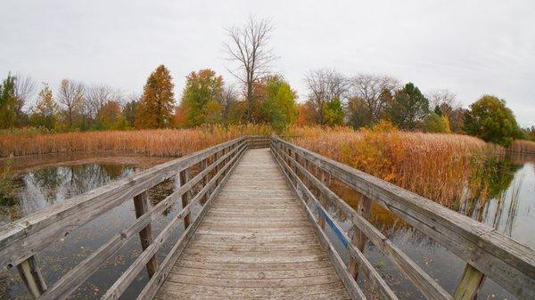 Joseph Davis State Park