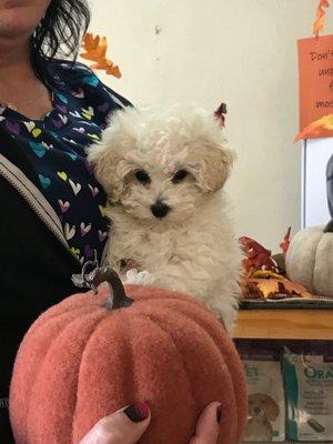 Is that mine?  Mayley's first Veterinarian Visit.