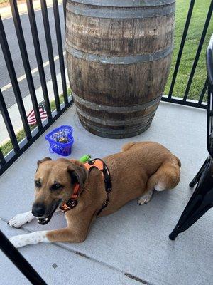 Patio is dog friendly!