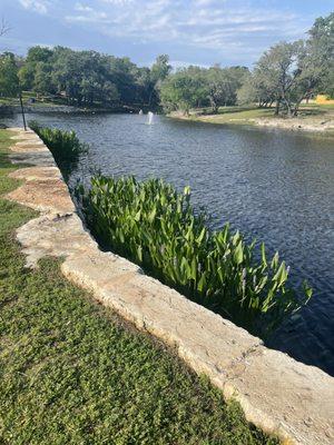 The duck pond.