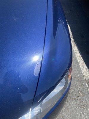 Damaged paint on the hood