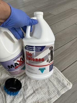 Using the right product to take care of the pet stain