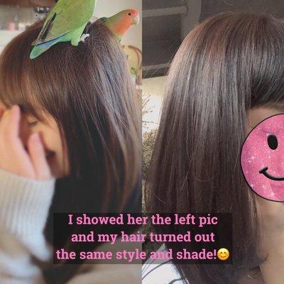 I showed Amanda the photos of my desire hair style and shade, she did perfectly just that!