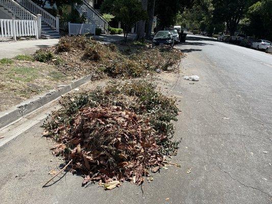 Illegally dumped clippings