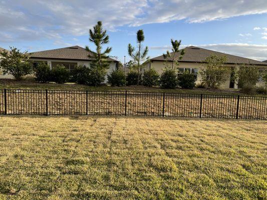 Fencing earlier in February.