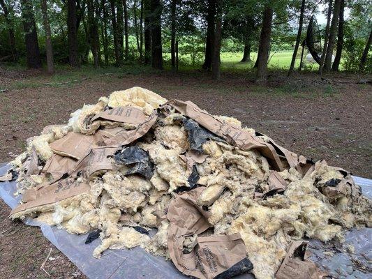 1,800 sqft crawlspace cleanout