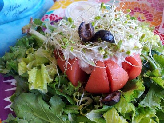 Stuffed Tomato Chicken Salad.