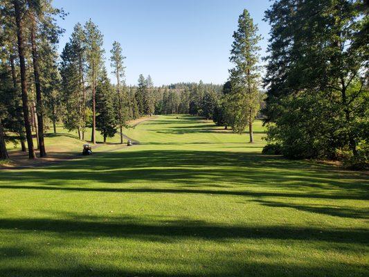 #6 Elevated tee box with a big fairway. Grip it and rip it.