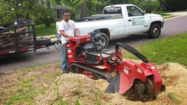 Zamora Tree Service