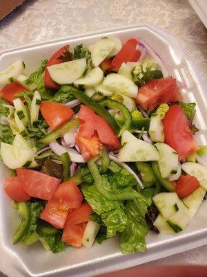 Large garden salad