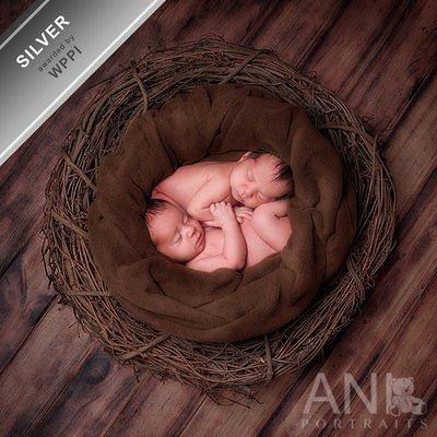 Newborn Photography http://www.aniportraits.com