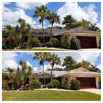 Before and after soft wash roof cleaning