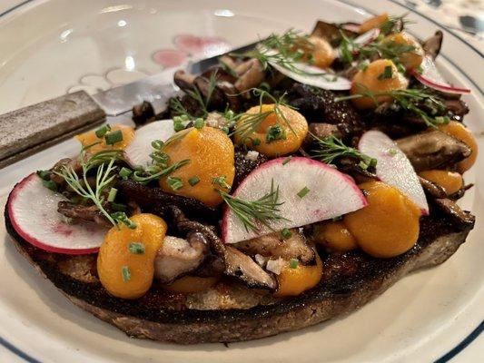 Mushroom Tartine