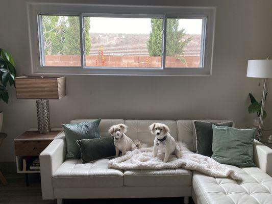 Family Room Window.