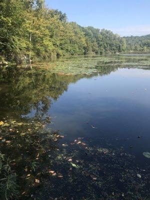 The fishing pond