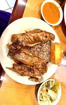 Smothered Turkey Wings, with Caribbean Rice and Cabbage