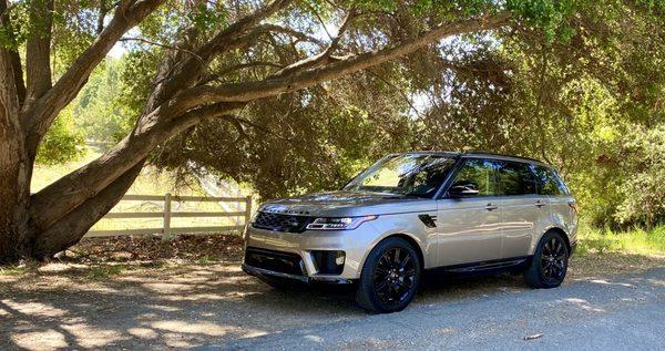 '21 Range Rover Sport after Alley Wash.