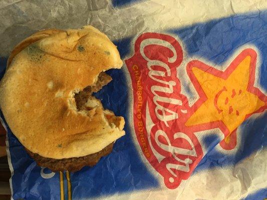 Nasty moldy kid's burger at Carl's Jr. in Anchorage, AK