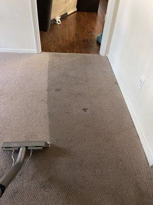 Jerry's Carpet Service