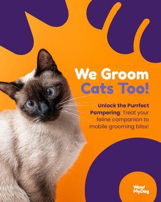 Attention, cat lovers!  We've got some exciting news to share: we now offer purr-fect grooming services for your feline friends too!