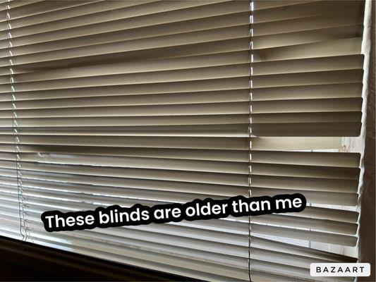 Cracked blinds