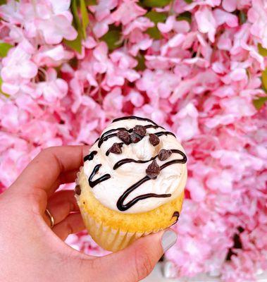 Chocolate Chip Cupcake