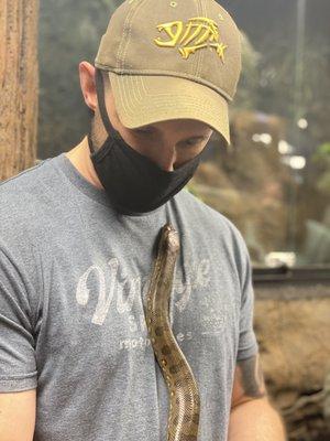 Verde, the Baby Green Anaconda  she was very curious!