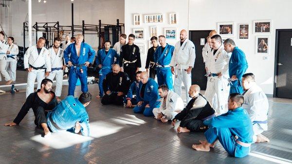 Adult Classes taught by BJJ World Champion